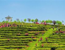 �S�����r(n��ng)��I(y��)�Ԙ˜ʻ����_������Ʒ�|(zh��)�ò�