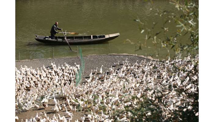 �ſ����r(n��ng)���������w�B(y��ng)ֳ�l(f��)���¸�