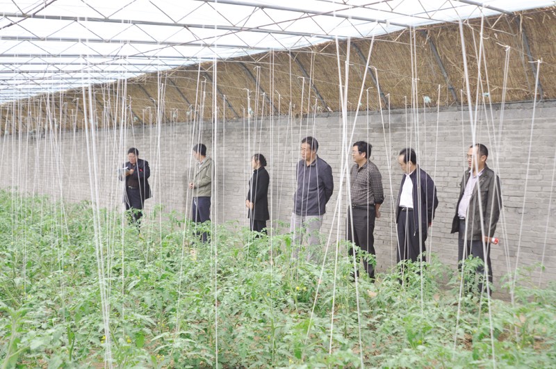 �����^(q��)�f���(zh��n)ϣ����Ұ�߲�ʾ�����ؽ���