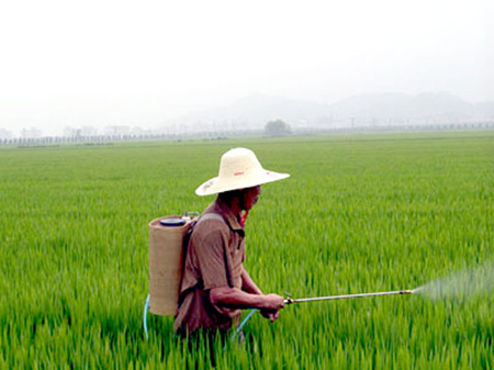 �ƌW(xu��)��ܜp�p�ɺ���(z��i)���pʧ ��(zhu��n)�����ѣ�������˸ķN�a(b��)�N