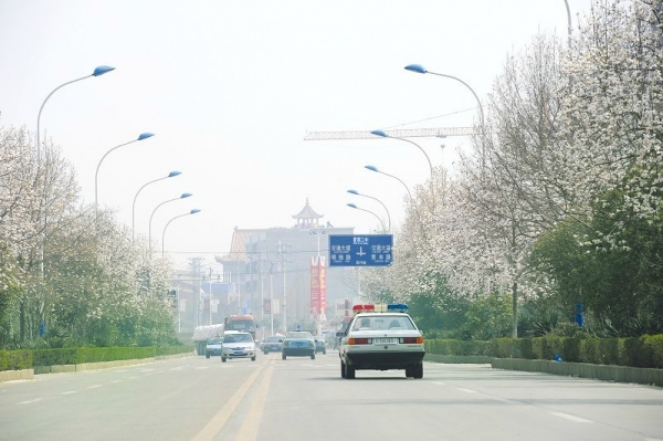 �����S��