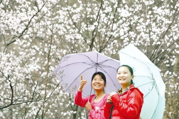 �ѻ��`�Ŵ��ɽ