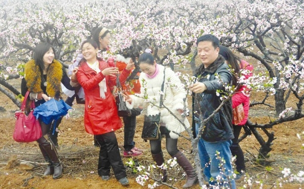 �����һ���(ji��)