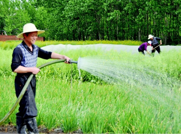 �S�h��ɽ�(zh��n)�t�Ǵ���Ç���ʽ��(ji��)ˮ����ģʽ