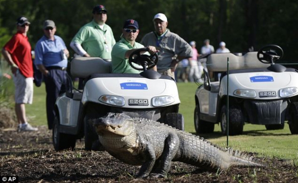 �ϻ������{�~���R �ߠ�������J�벻��֮��