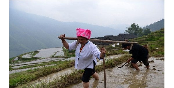 �V������ǧ�������[���_����