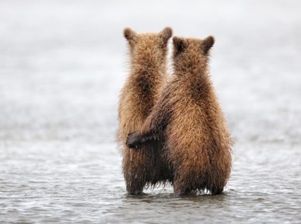 �P�c�����ı����