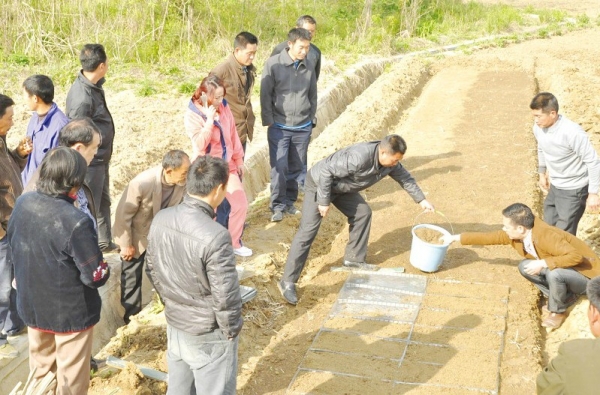 �S�h�����(zh��n)����(zh��ng)�C(j��)�������������