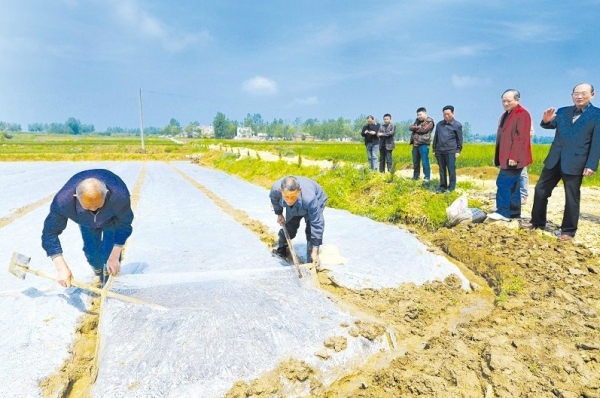 �����^(q��)�ƏV���к�����ģʽ