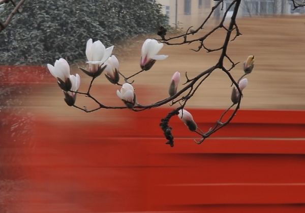 �S�����m���_��