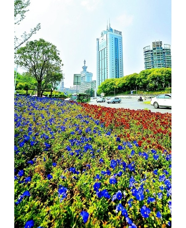 ��h�ǅ^(q��)���ɵ������û���ֲ��