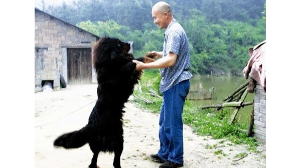 �˶��h���x��(w��)���β���10��