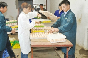 �����r(n��ng)�I(y��)�e�O���������в���Ӱ�