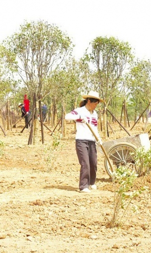 ��(y��ng)ɽ����F(xi��n)�G��