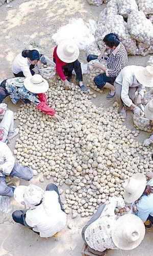 �֒�����