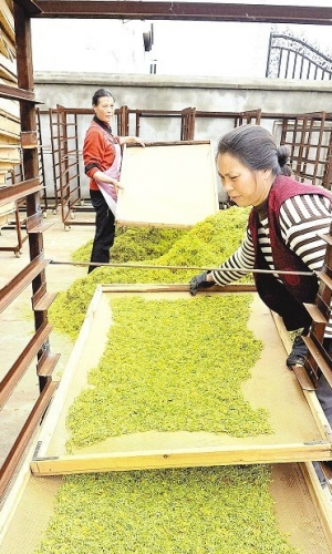 �ӹ����y��