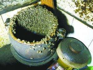 ��(sh��)ǧ�۷䡰ͻ�L��������լ �����ٱ��û����