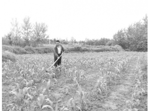 �߳��(zh��n)�{(di��o)�������￹��