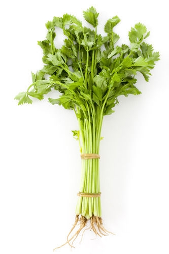 �@Щ�����ӵ��߲˲�λ��I(y��ng)�B(y��ng) 90%�˶����e(cu��)