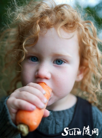 �@Щ�����ӵ��߲˲�λ��I(y��ng)�B(y��ng) 90%�˶����e(cu��)