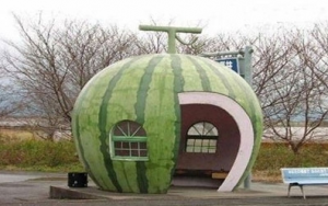 �M�D: �P(p��n)�c(di��n)ȫ�����(l��i)����܇(ch��)վ