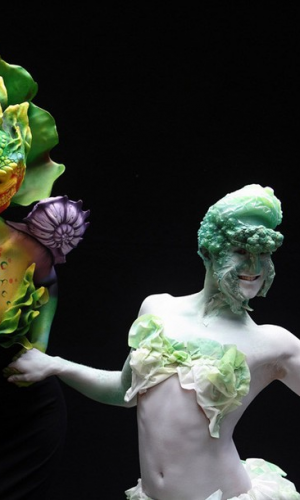 �������_(k��i)��2013�������w���L��(ji��)ʢ�r