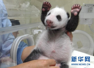 �ȑB(t��i)�ٳ�С���A�С�