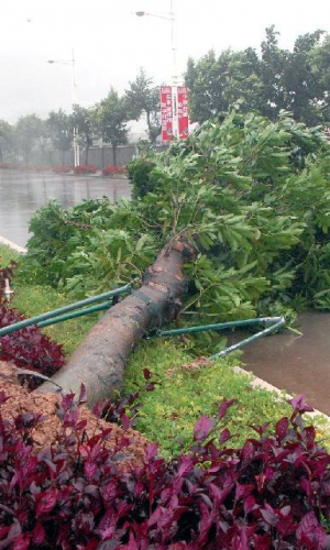 ���_�L(f��ng)�����ء���ꑏV�|ꖽ�