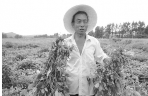 С�ֻ���ϲ�@�S��