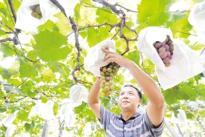 �����״������|(zh��)�Ãr��