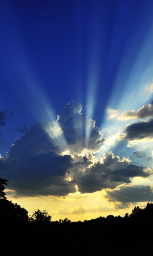 ���ҽ�������� ��â�f����������