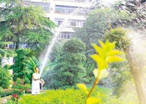 ��G����ľ"�aˮ"