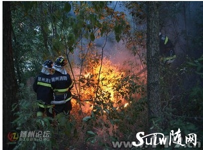 ɽ����Ű����Σ �S����������