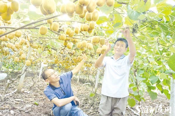 �f�͏����ҫ@�S��