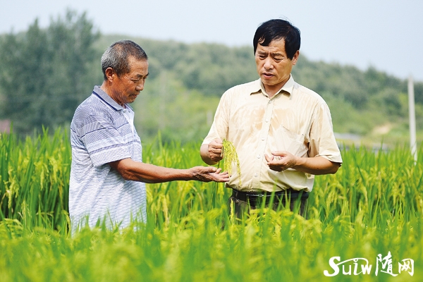 �S�յ�ϲ��