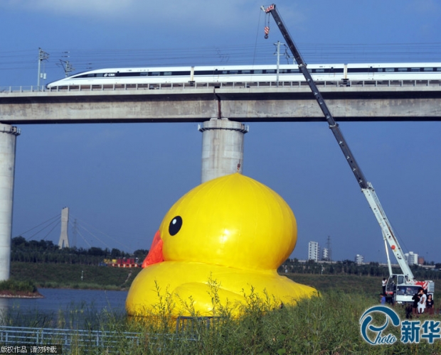 ���S�������@���@