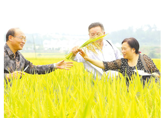 ����ˮ����m(x��)����