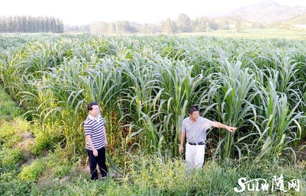 1000�஀����Ч����^