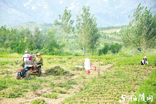 �ķN�����@�S��