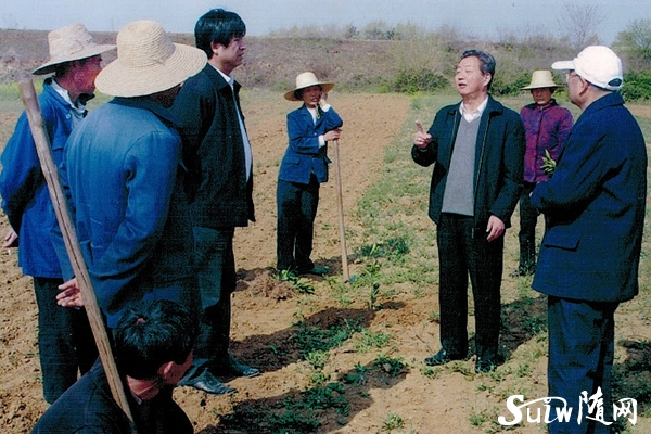 ��ϵȺ���������ϴٕ�(hu��)ԭ��(hu��)�L(zh��ng)��������ǰ�υ^(q��)������Ӱ֮��