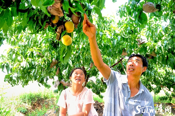 �����(zh��n)50���������Ҽ�������