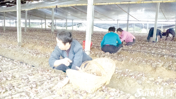 �ǵ��(zh��n)������(ji��)�����㹽ϲ�@�S��