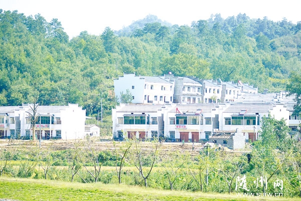 �´塤����