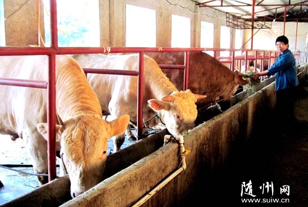 ���l(xi��ng)��(chu��ng)�I(y��)