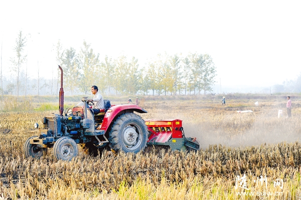 �Cе�l���ﲥæ