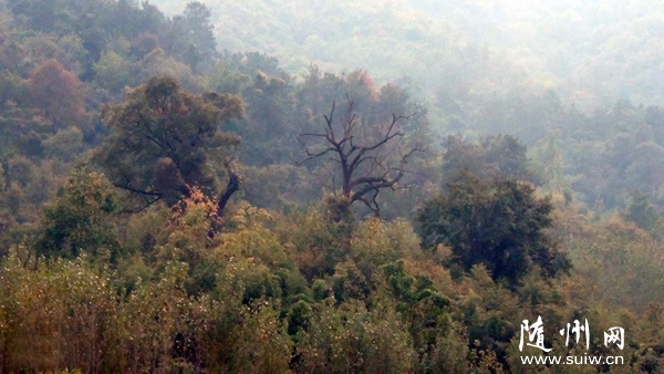 �S��Փ�����M(j��n)ʮ��ɽ