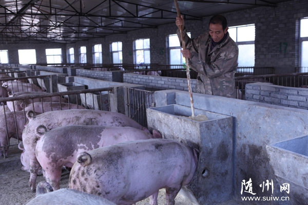 �ε����������(d��o)����Nֲ�B(y��ng)ֳ�¸�