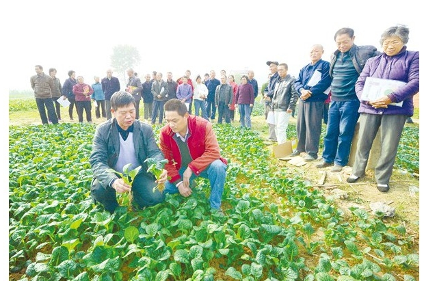 �r(n��ng)�C(j��)�����o��(d��o)��(y��u)�N��(y��u)��֪�R(sh��)