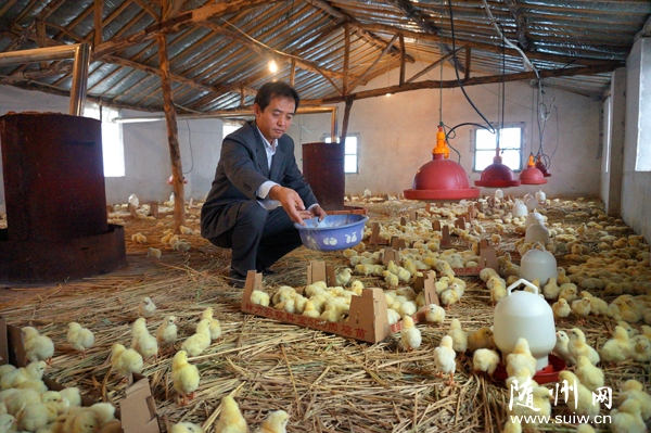 ���Ӵ����l(f��)չ�B(y��ng)ֳ�I(y��)���M�r������