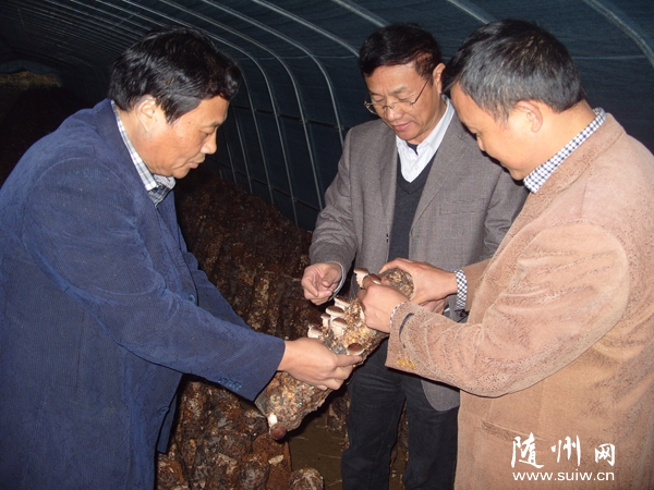 ָ��(d��o)���ﹽ��ģʽ�(xi��ng)Ŀ���a(ch��n)